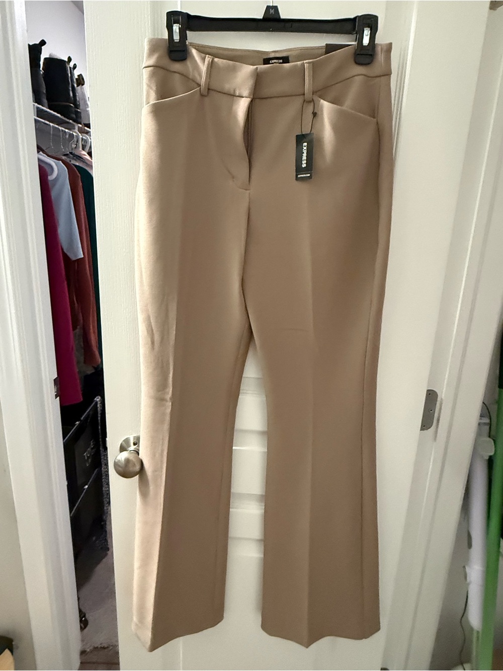 Express Flare Leg editor pants